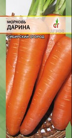 Сорт моркови Дарина