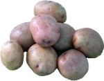 Картофель семенной "Жуковский"